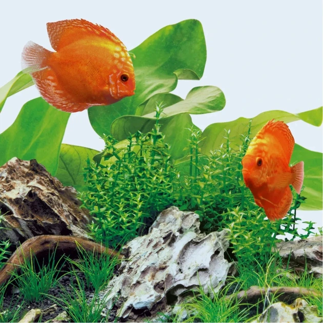 Світильник для акваріума Juwel Day LED 1047 мм (4022573868104) - picture 3