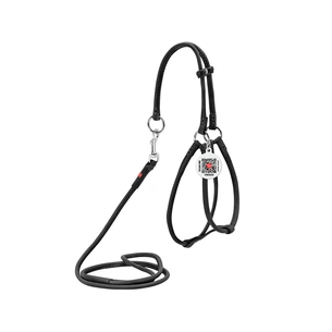 Шлея для собак WAUDOG Soft з QR паспортом кругла Д 6 мм А 42-60 см В 46-64 см чорна (46201) зображення 1