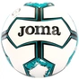 М'яч футбольний Joma Dynamic II білий, бірюзовий Уні 5 400853.223 (8445456472803) - зменшене зображення 1