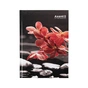 Книга записна Axent R&B Flower А5, 96 аркушів, клітинка, тверда обкладинка (8457-7-A) - зменшене зображення 1