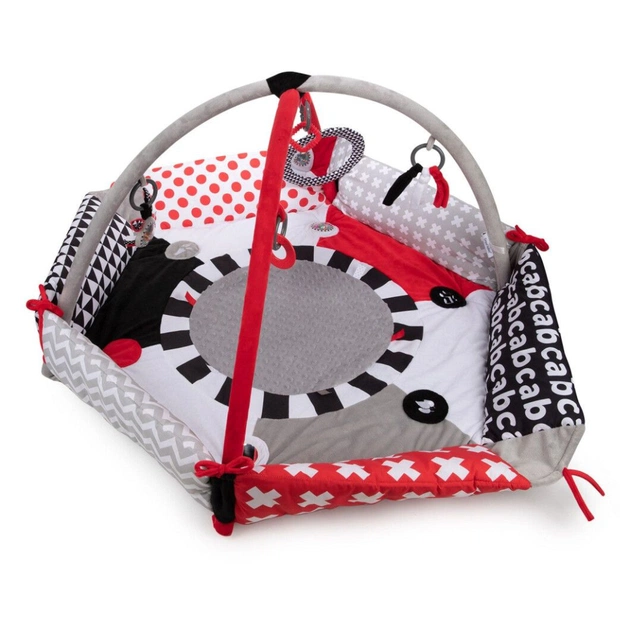 Дитячий килимок Canpol гімнастичний Sensory Toys (68/077) - picture 2