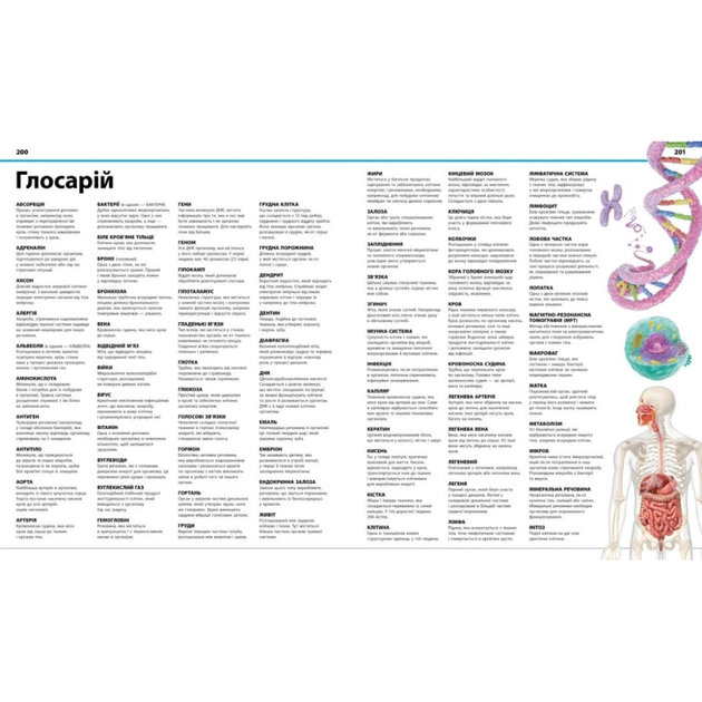 Книга Енциклопедія знань. Тіло людини - Філіп Базеліс, Пітер Крісп, Стів Хоффман Ранок (9786170993953) - изображение 11