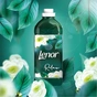 Кондиціонер для білизни Lenor Смарагд і квітка айворі 750 мл (8001841376080) - зменшене зображення 4