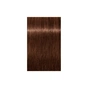 Фарба для волосся Schwarzkopf Professional Igora Royal 6-68 60 мл (4045787204926) - зменшене зображення 2
