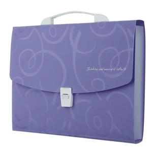 Папка - портфель Buromax A4/35мм, BAROCCO, violet (BM.3719-07) picture 1