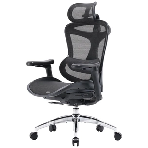 Офісне крісло Sihoo DORO C300L Mesh Black (DORO-C300L-A3-101) зображення 1