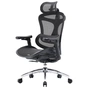 Офісне крісло Sihoo DORO C300L Mesh Black (DORO-C300L-A3-101) - зменшене зображення 1