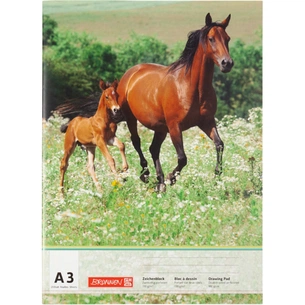 Альбом для малювання Brunnen А3 20 арк. 100 г / м2 в асортименті (1047913) зображення 1