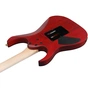 Електрогітара Ibanez RGR420FMSP-TGF (302362) - зменшене зображення 5