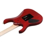 Электрогитара Ibanez RGR420FMSP-TGF (302362) - уменьшенное изображение 5