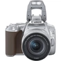 Цифровий фотоапарат Canon EOS 250D kit 18-55 IS STM Silver (3461C003) - зменшене зображення 6