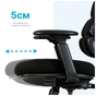 Офисное кресло Sihoo FlexCore OC120G (OC120G) - уменьшенное изображение 9