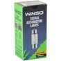 Автолампа WINSO C5W 5W SV8.5 T11*37 (725180) - зменшене зображення 2