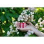 Батарейка Panasonic C R14 RED ZINK * 2 (R14REL/2BPR) - зменшене зображення 4