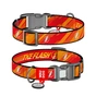 Нашийник для тварин WAUDOG Nylon з QR паспорто "Флеш Лого", світловідбивний L (282-1083) - зменшене зображення 1