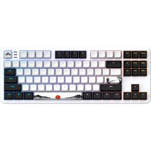 Клавіатура Dark Project ALU87 Fuji V2 (DPKB_FUJI_87_ANSI_UA) зображення 1