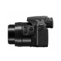 Цифровий фотоапарат Panasonic DMC-FZ300 (DMC-FZ300EEK) - зменшене зображення 5