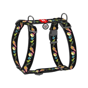 Шлея для собак WAUDOG Nylon анатомічна H-подібна з QR-паспортом "Рік і Морті 3" пластиковий фастекс, XL (323-0282) зображення 1