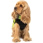 Жилет для тварин Pet Fashion "Warm Yellow Vest" XS (4823082417216) - зменшене зображення 6