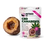 Лакомство для собак LK Baits Pet Nutrigo CBD Mini для мелких пород с конопляным маслом (Ø 15 мм) 75 г (7777031) - уменьшенное изображение 1