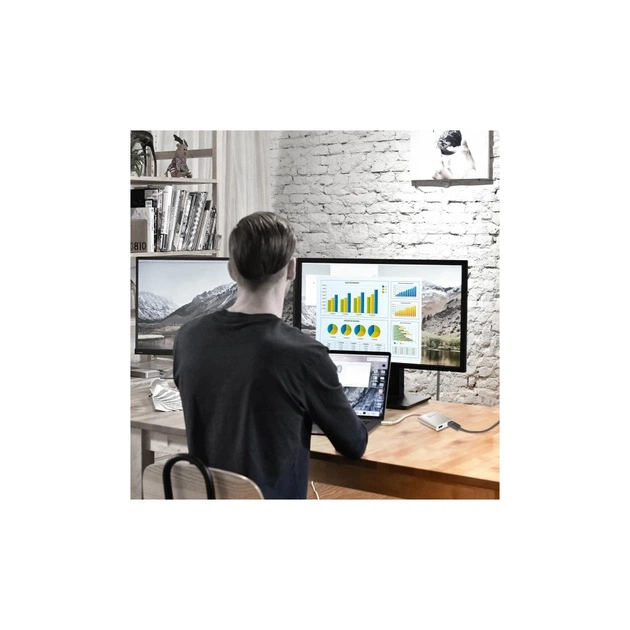 Адаптер USB-A to 2xHDMI F dual display J5create (JUA365-N) - picture 4