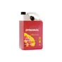Омивач автомобільний DYNAMAX FOREST FRUIT 5 л - зменшене зображення 1