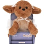 М'яка іграшка Tigres Собачка Мальтіпу Кейзі (СО-0118) - зменшене зображення 1