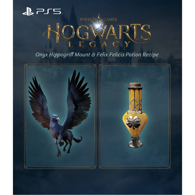 Игра Sony Hogwarts Legacy, BD диск (5051895413425) - изображение 12