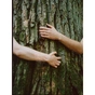 Шампунь Yope Guaiac Tree 300 мл (5903760202088) - зменшене зображення 3