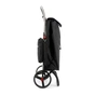 Сумка-візок Rolser I-Max Termo Zen 2LRSG Negro (IMX356-1023) (930449) - уменьшенное изображение 4