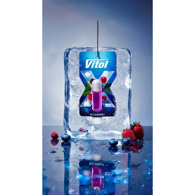 Ароматизатор для автомобіля VITOL X-Fresh Wildberry (VF04) - picture 5