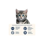 Сухой корм для кошек Home Food KITTEN Fresh Chicken 1.6 кг (4820235020842) - уменьшенное изображение 5
