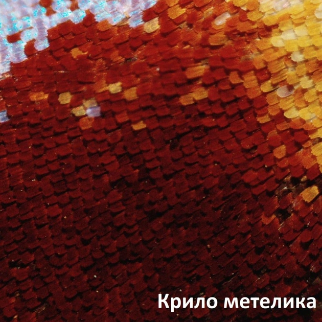 Мікроскоп Bresser Biolux LCD Touch 50x-2000x (5201020) (928558) - picture 5