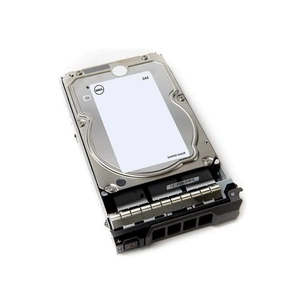 Жорсткий диск для сервера Dell 12TB 7.2K RPM NLSAS 12Gbps 512e 3.5in Hot-plug Hard Drive CK (400-AUTD) зображення 1