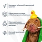 Шампунь для животных Espree Intense Charcoal Odor Neutralizer Tearless Dog 2in1 591 мл (0748406003521) - уменьшенное изображение 4