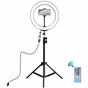 Набір блогера Puluz Ring USB LED lamp PKT3043 10" + tripod 1.1 м (PKT3043) - preview 1