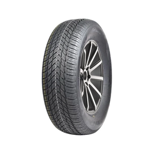 Шина Aplus A701 165/70R14 85T XL (14961352395) зображення 1