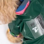 Вітровка для тварин Pet Fashion "AIR" для собак розмір XS (зелена) (4823082420650) - зменшене зображення 3