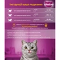Влажный корм для кошек Whiskas Pure Delight курица в желе 85 г (5900951303333) - уменьшенное изображение 3
