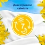 Кондиціонер для білизни Lenor Сицилія 1.239 л (8700216724654) - уменьшенное изображение 4