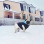 Курточка для тварин Airy Vest двостороння M 45 чорно-блакитна (1622) - зменшене зображення 2