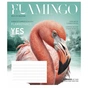 Зошит Школярик Fauna magazine 18 аркушів клітинка (018-3428K) - зменшене зображення 1
