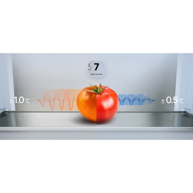 Холодильник LG GC-B509ETKM - зображення 5