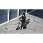 Електросамокат Segway Ninebot F2 PRO E II, чорний (AA.05.12.03.0007) - уменьшенное изображение 10