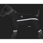 Дощовик для тварин Collar Teremok M 48 рожевий (39907) - зменшене зображення 2