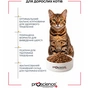 Сухий корм для кішок ProScience Adult Cat Chicken 15 кг (8694686407721) - зменшене зображення 5
