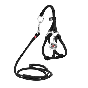 Шлея для собак WAUDOG Glamour з повідцем кругла Д 6 мм А 42-60 см В 46-64 см чорна (34021) зображення 1