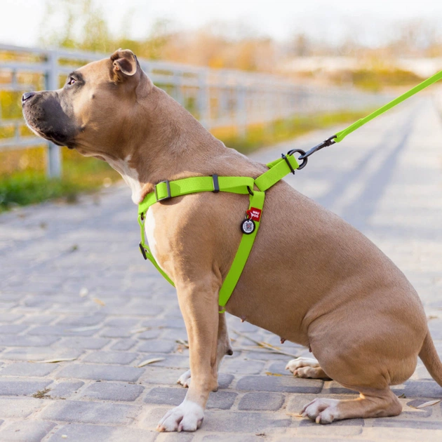 Шлея для собак WAUDOG Waterproof з QR-паспортом М Ш 20 мм Д 50-80 см салатова (27655) - picture 4