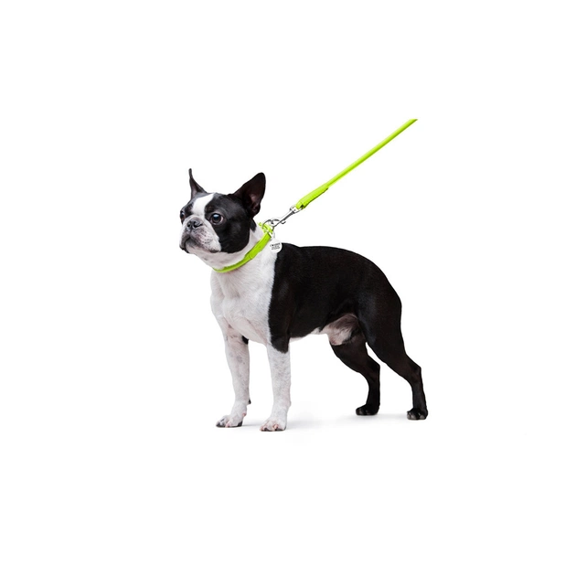 Повідець для собак WAUDOG Glamour круглий XS d 8 мм Д 122 см салатовий (33775) - picture 5