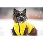 Курточка для тварин Collar AiryVest "Colors of freedom" L 65 (4450-4020) - уменьшенное изображение 2